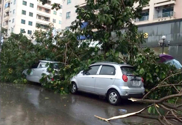 Một số khu vực không đỗ xe khi trời mưa bão