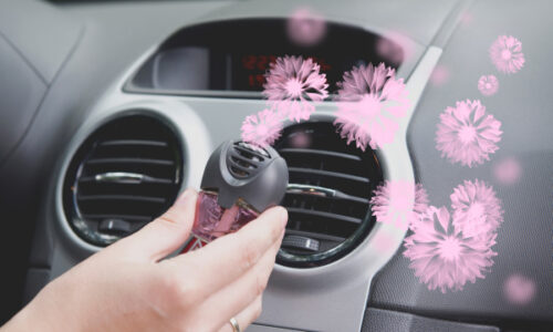 Những cách khử mùi ô tô hiệu quả