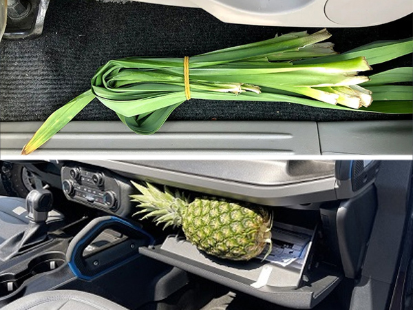 Mẹo khử mùi xe ô tô hiệu quả